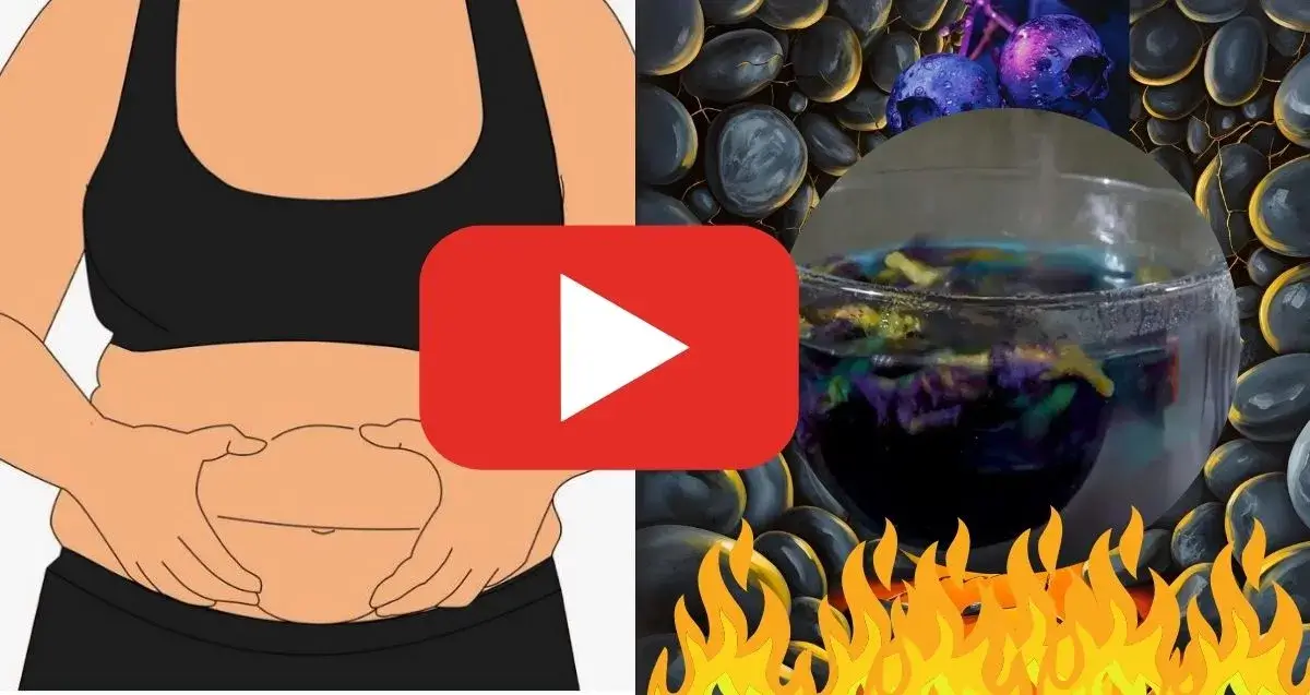 Menopause Belly Fix
